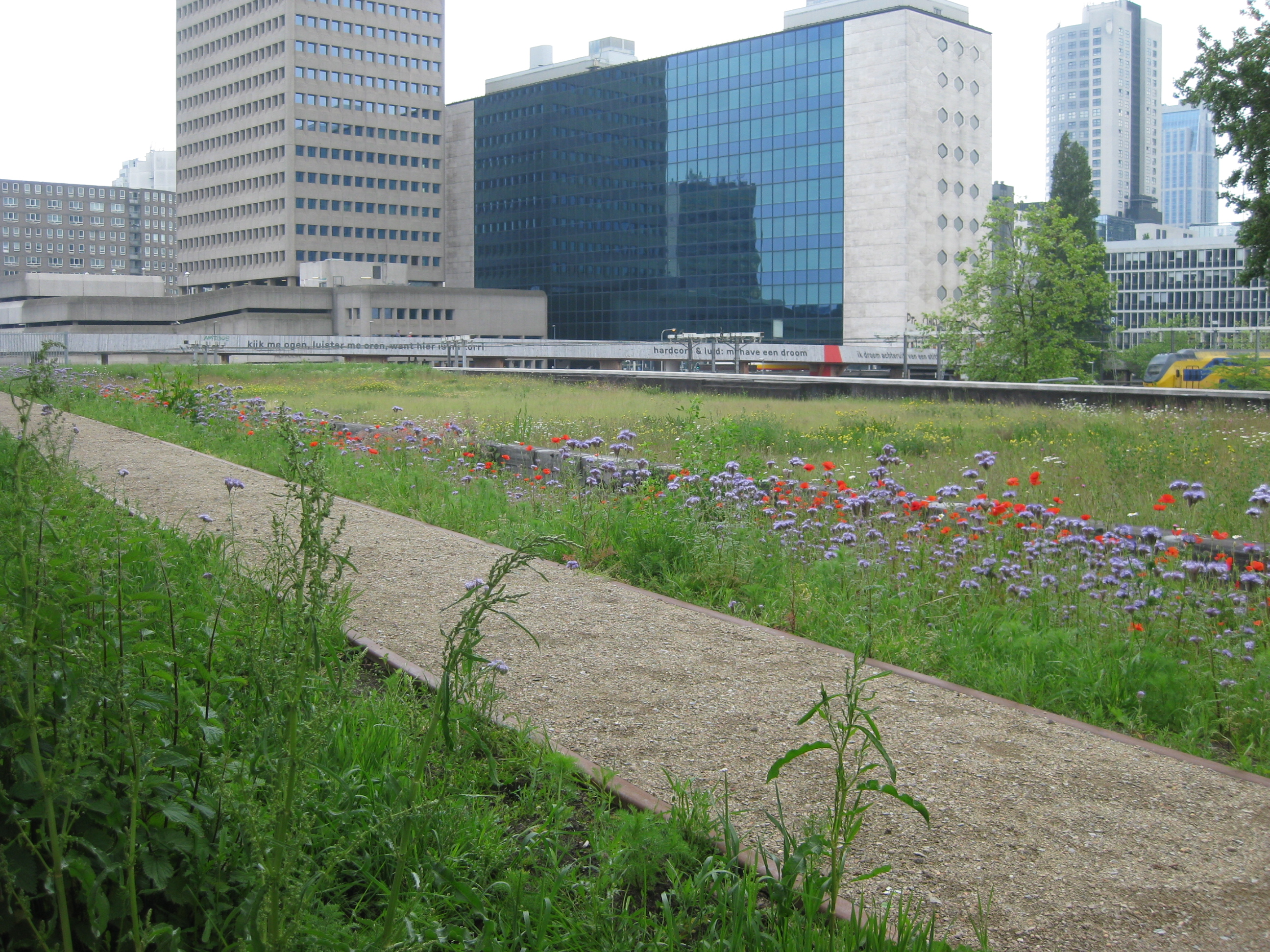 dak_station_hofplein