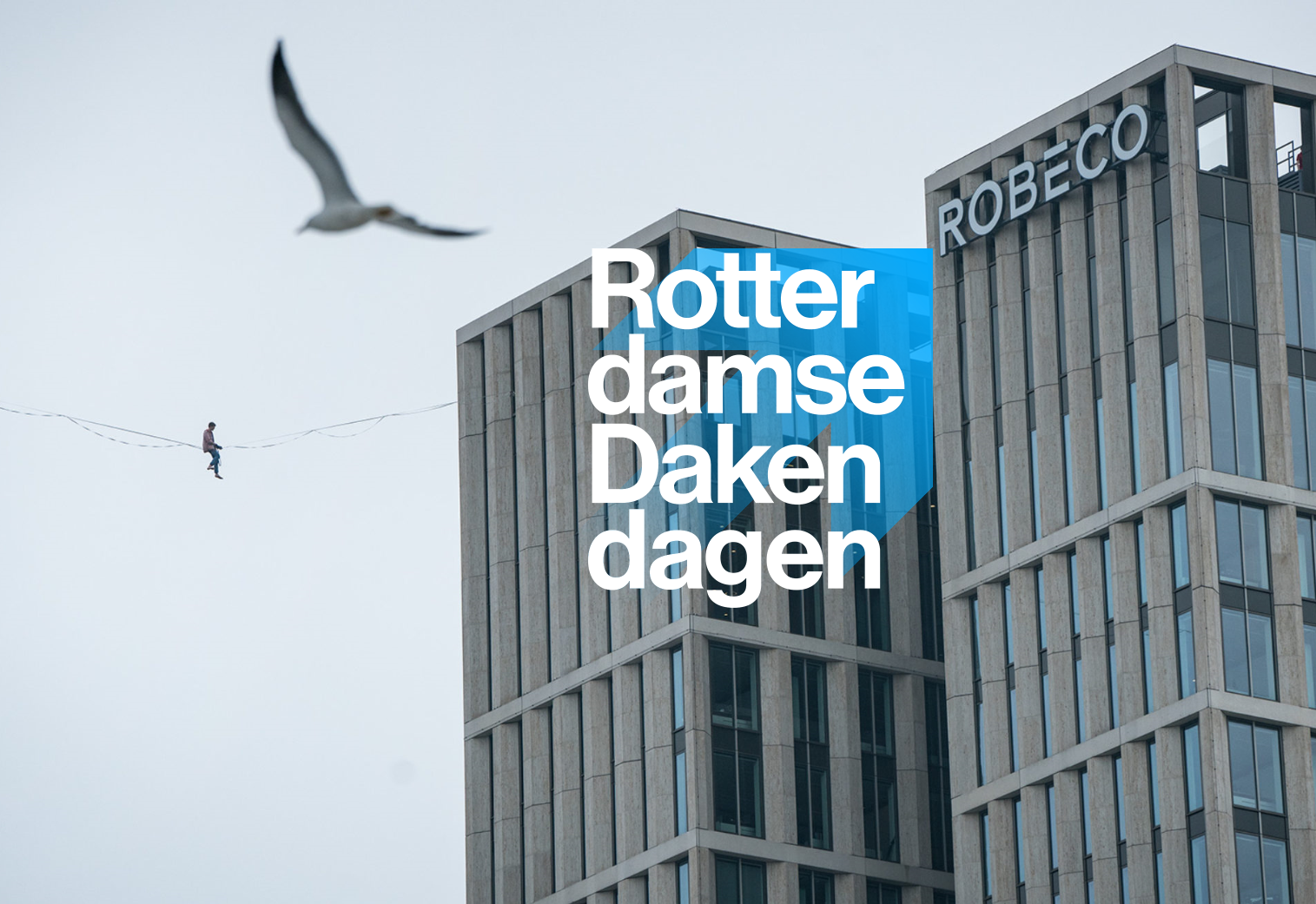 Rotterdamse Dakendagen
