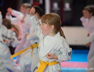 Hofbogen ondernemer: MO martial arts, meisje traint